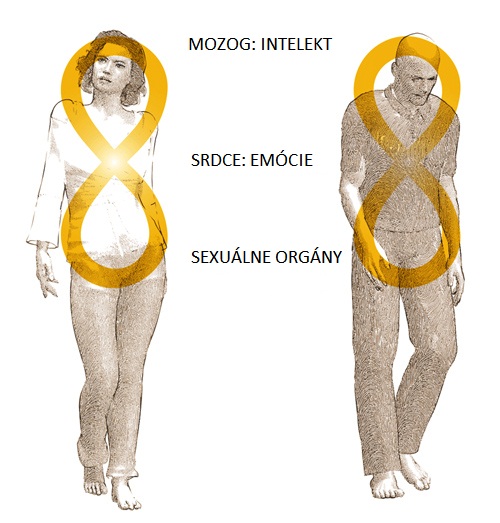 Svatá osmička a tři mozky